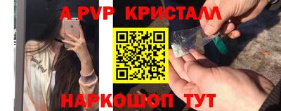 шишки Камышлов