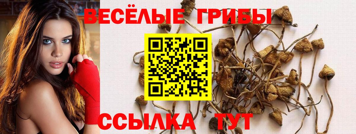 Галлюциногенные грибы Magic Shrooms Лангепас